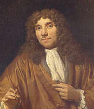 anton van leeuwenhoek discovery