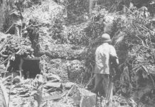 1943: United States Defeats Japan at Guadalcanal